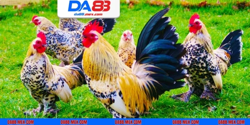 Những thông điệp đều gửi gắm con số có liên quan